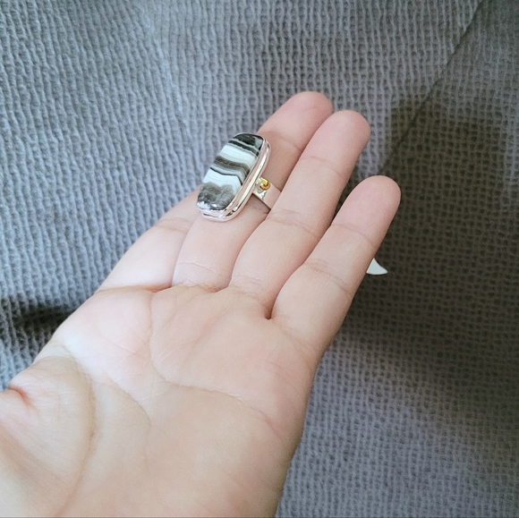 ✨️HP✨️ Shivam Zebra🦓 Jasper Statement Ring💍 - NWT - Picture 5 of 16